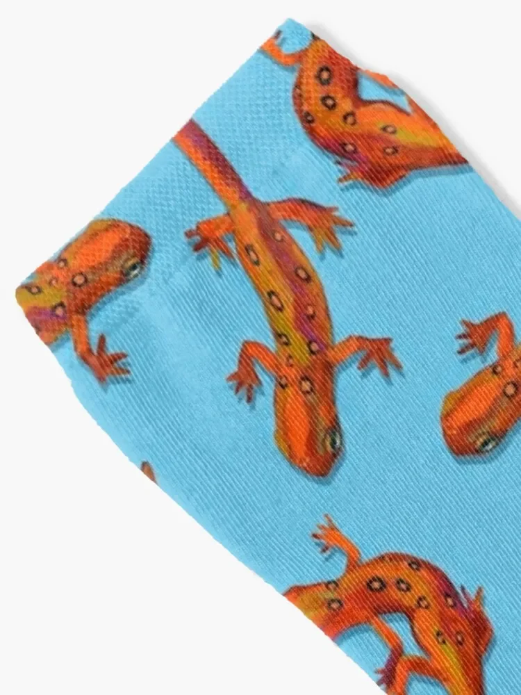 Eastern Newts Orange on Blue by Robert Phelps Socks anime compression Antiskid soccer anti slip football Women Socks Men's