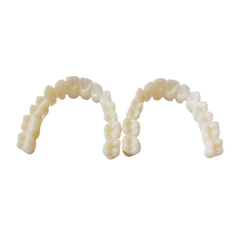 Simulated Teeth And Gingival Practice Teaching Internship Operation Orthodontic Model Use Dental Simulation Teeth Model