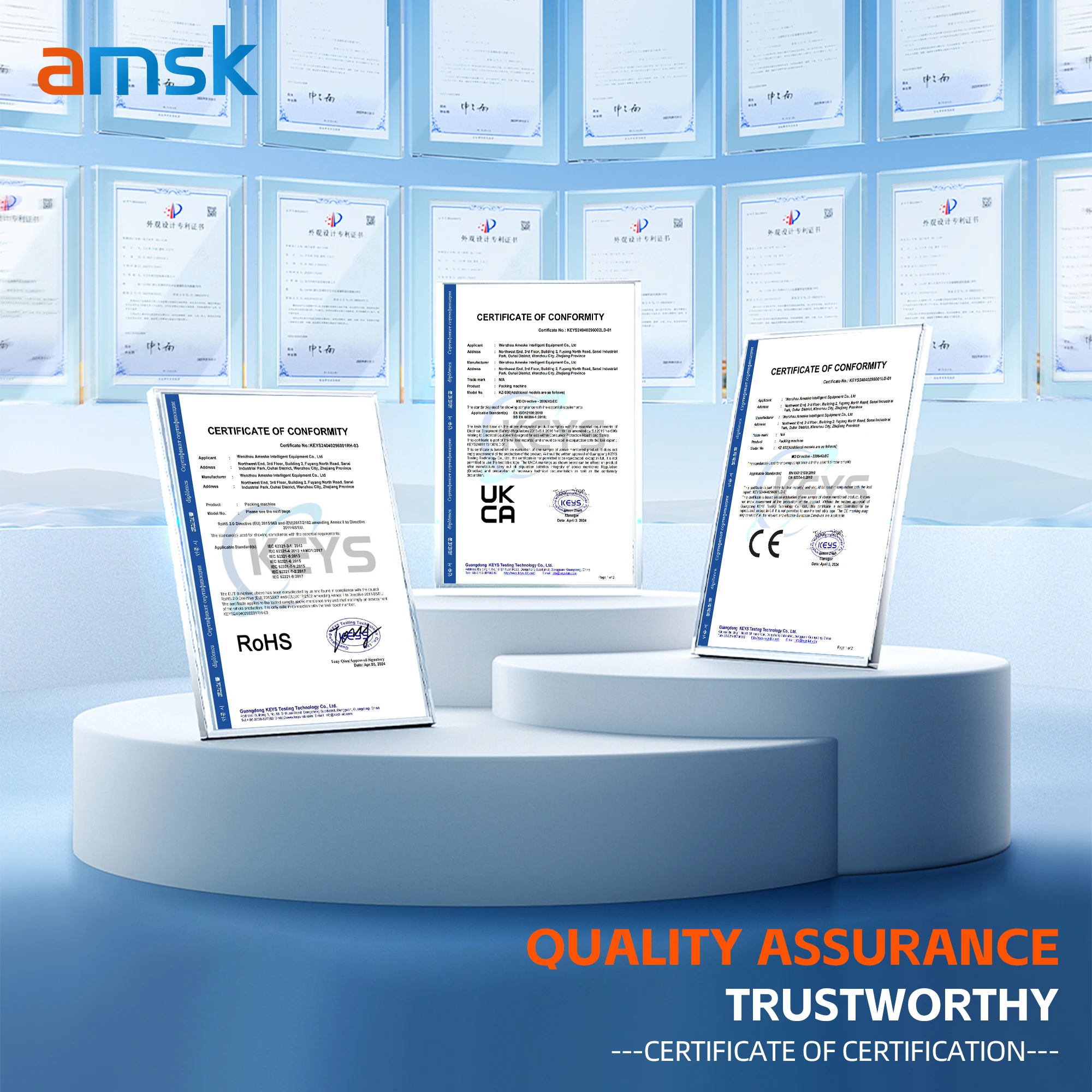 DZ-260 آلة تعبئة وختم اللحوم بغرفة واحدة أوتوماتيكية بالكامل #5