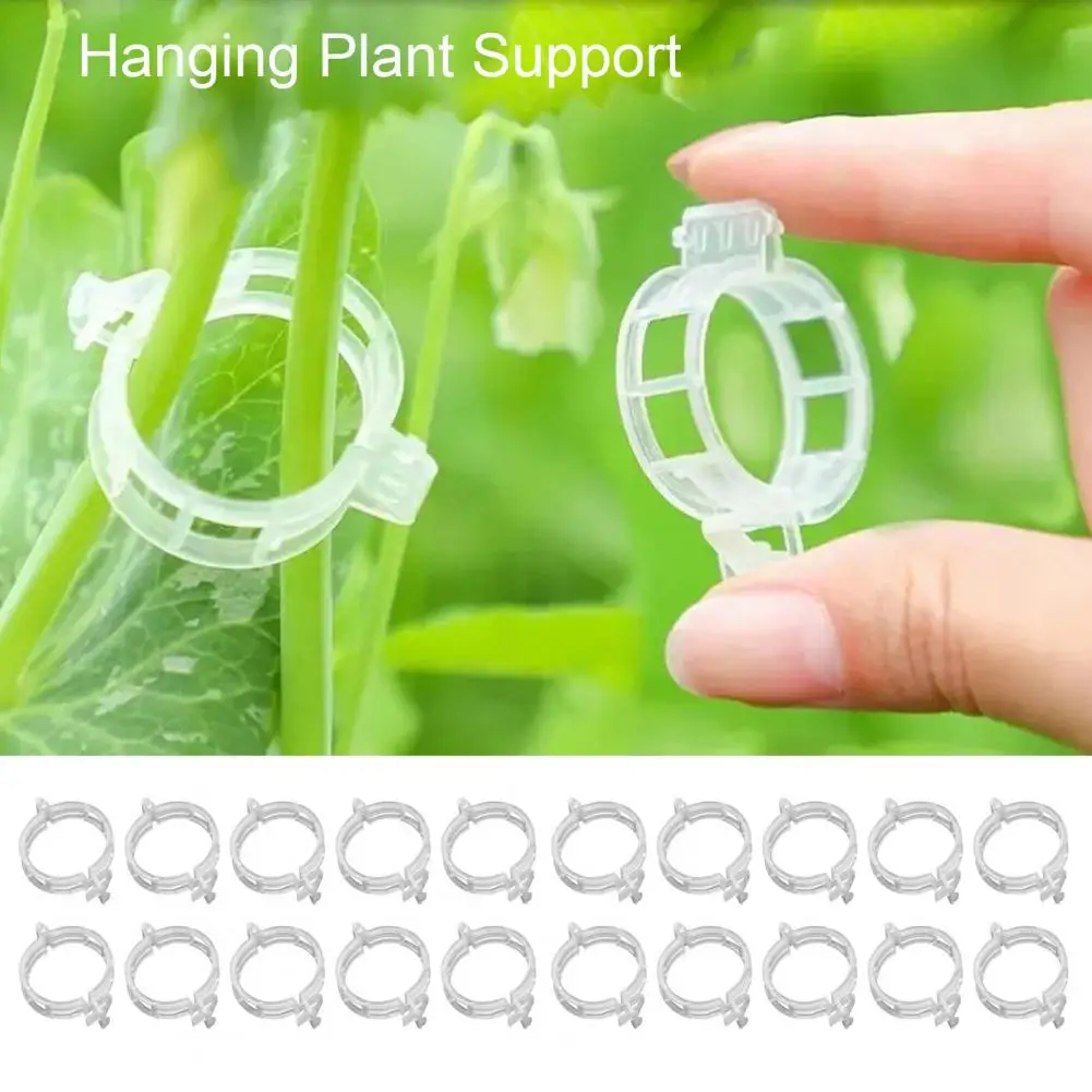 20Pcs Seedlings Fixing Clips Quick-open Plant Support Clips Clear Vine Fixing Buckles for Grafting Tying Vines And Hanging Plant