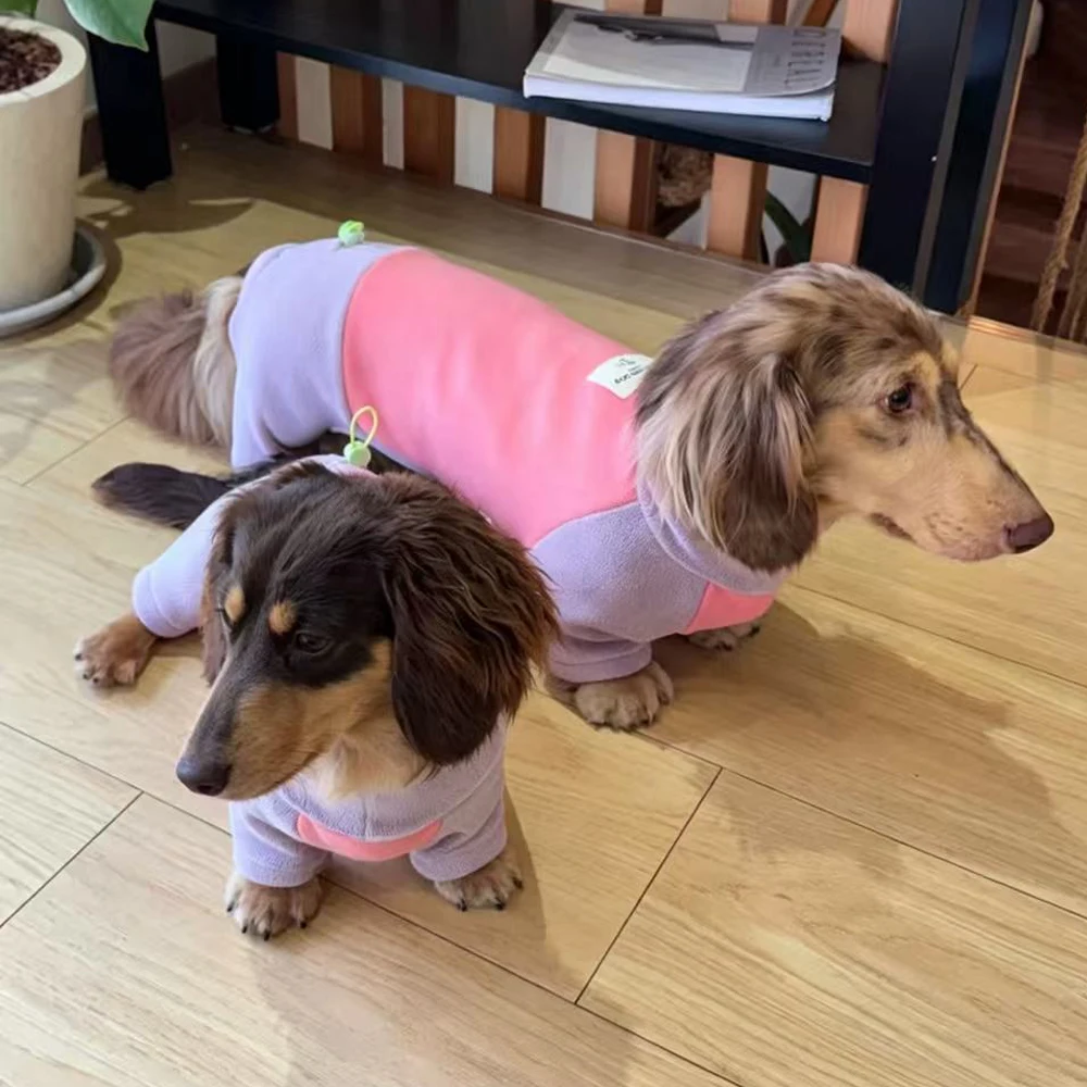 Sudadera abrigo invierno para perro dachshund salchicha cuello alto - imagen 3