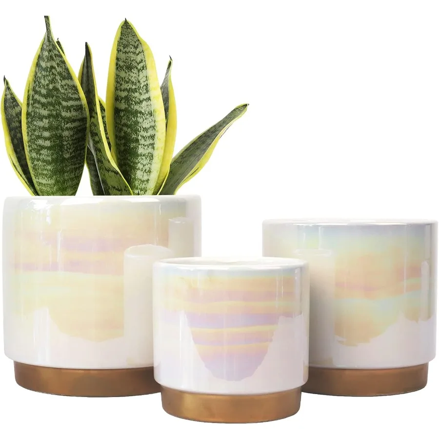 

White Indoor Pots for Plants Ceramic Planter with Drainage Hole 6.0 inch+5.0 Inch+4.0 Inch. Succulent Orchid Flower Pot Rainbow