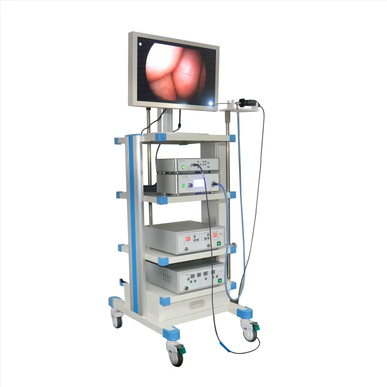 Factory Price Hospital Clinical Medical Trolley Cart/Tower/Endiscioy Module
