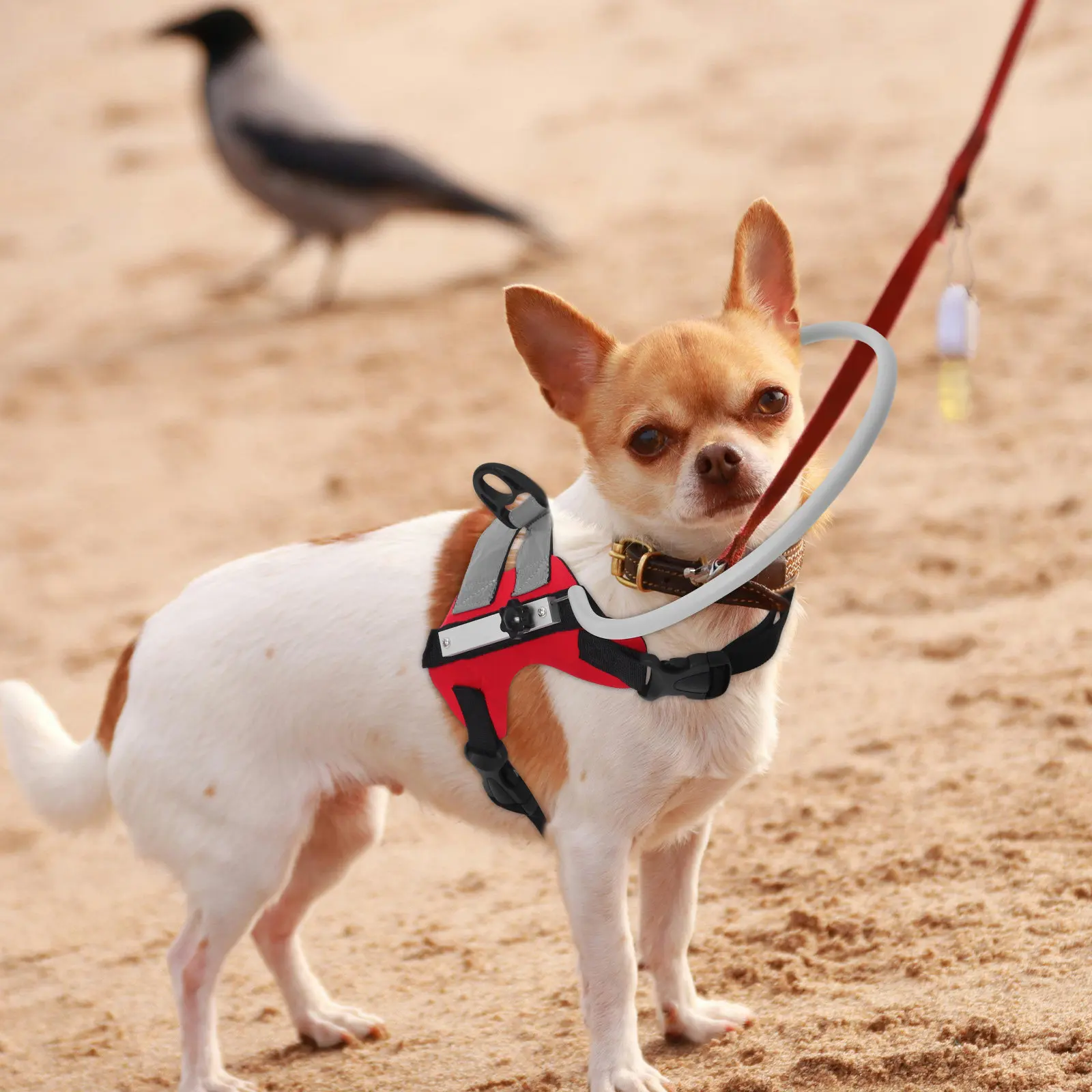 

Устройство для навигации слепых собак: навигационный бампер-шлейка для маленьких собак, ошейник с защитой от столкновений