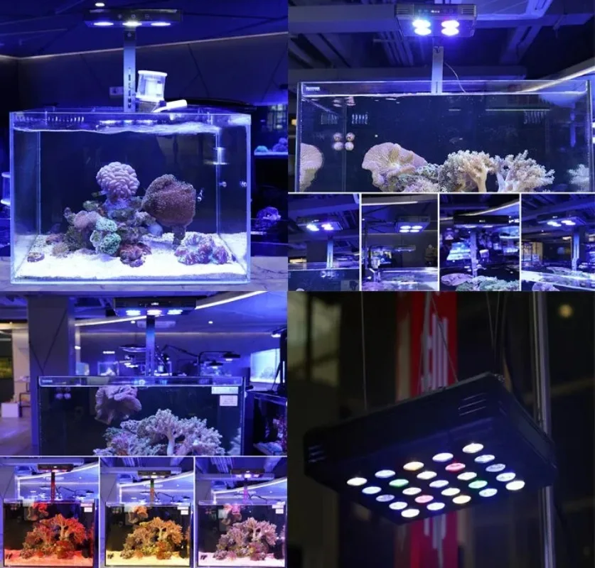 110-240V Luz de aquário LED Reef Light Lâmpada coral para aquários Iluminação de tanque de peixes marinhos