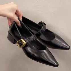 Pointed Mary Jane Single Shoes Women's Spring New Fashion Retro Shallow Mouth Thick Heel Small Leather Shoes