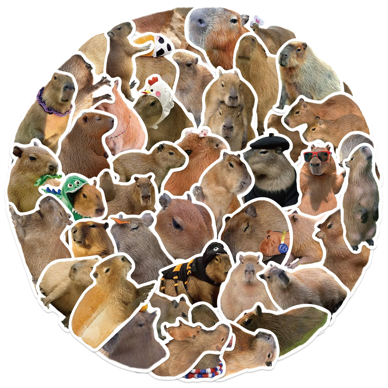 50PCS Nette Capybara Tiere Graffiti Aufkleber DIY Telefon Gitarre Laptop Notebook Koffer Wasserdicht Cartoon Aufkleber Kinder Spielzeug