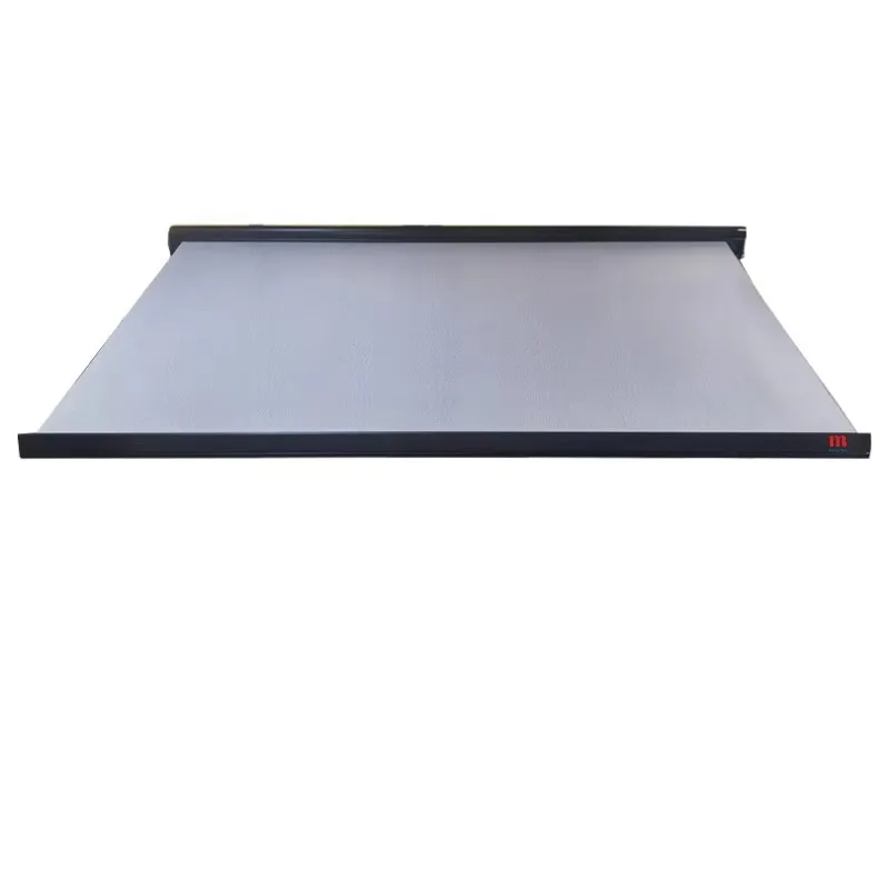 Side Mounted Camping Motorized Retractable Manual Electric Sunshade Caravan Cassette Camper Van RV Awning