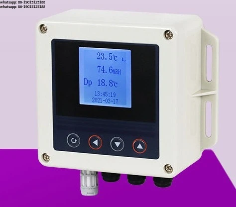 Temperature and humidity controller Wall mounted detector Display recorder Instrument sensor probe WS10