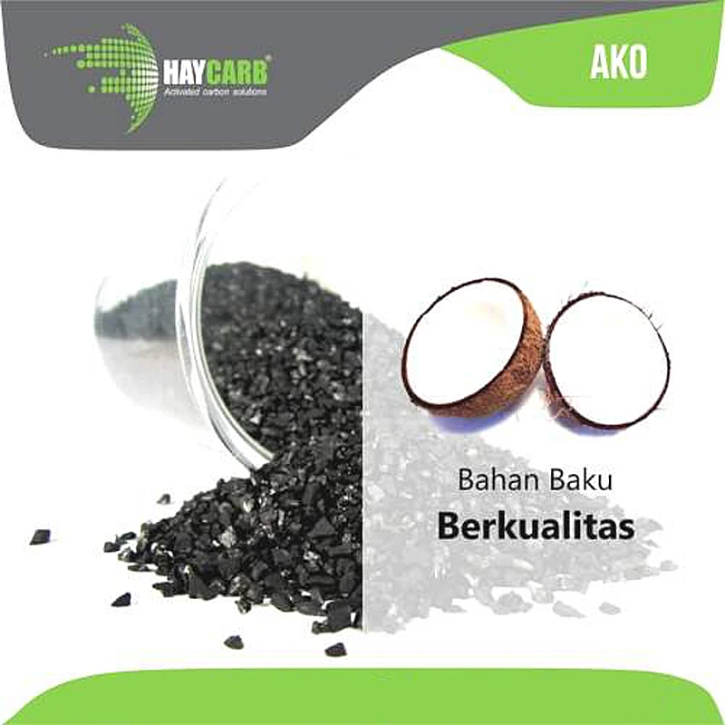 HAYCARB Activated Carbon Water Filter Media Small Ultra Porous Stone Black 200 g