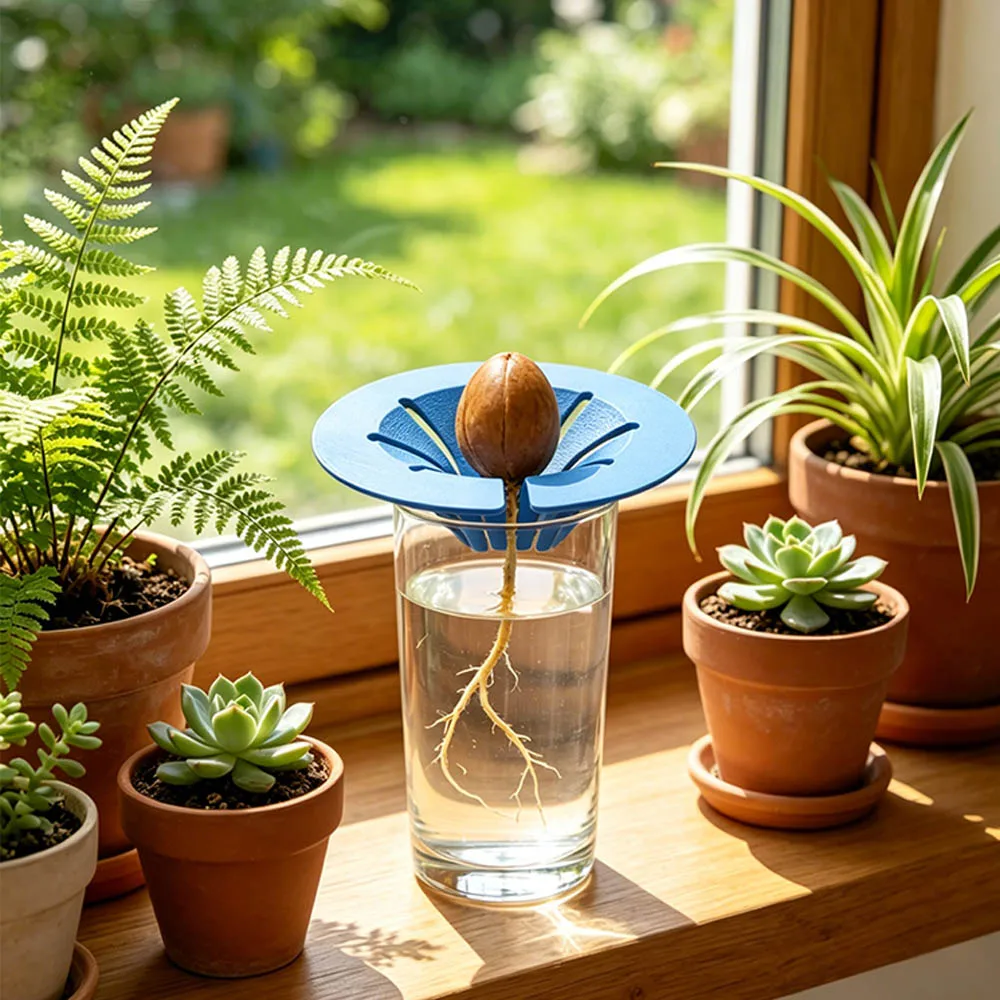 Soil-Free Avocado Planter Sprouting Setup Growing System Hydroponic Grow Kit Cultivation Device Plastic Seedling Tray