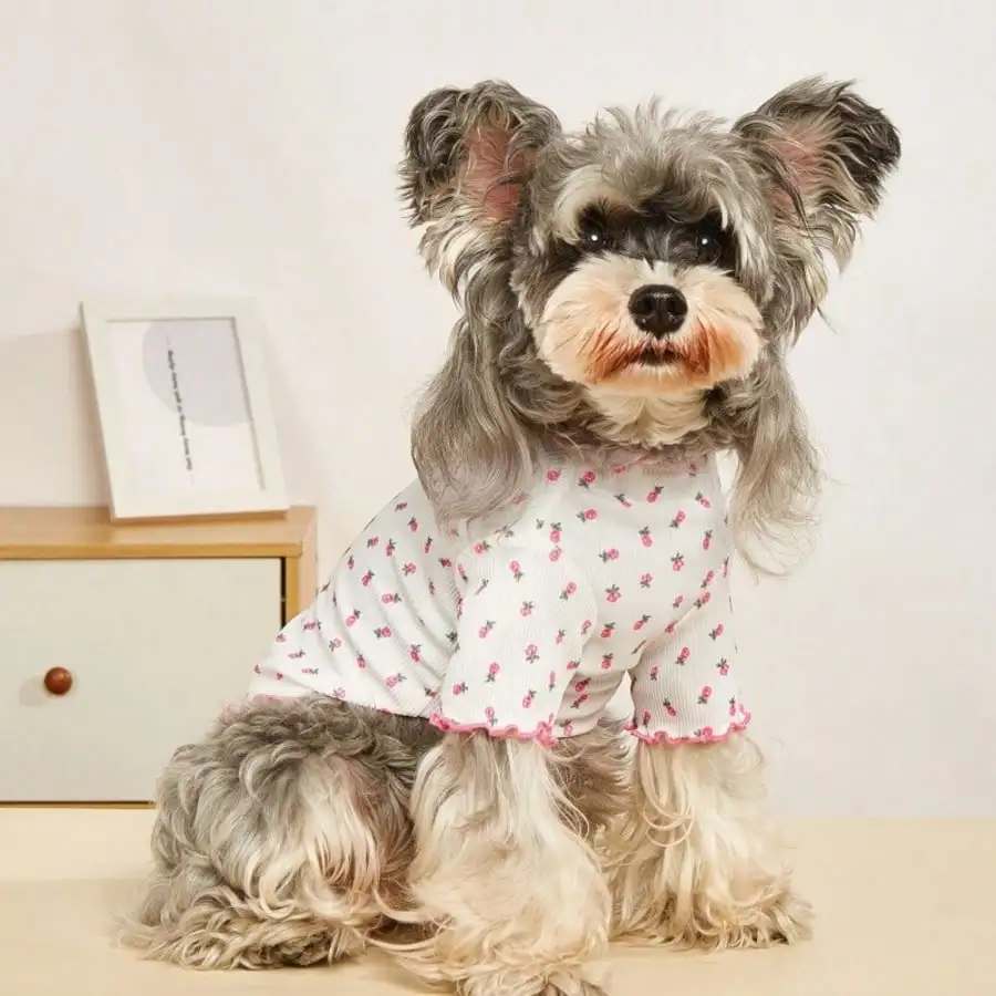 Floral Pet Sweatshirt, Fashionable Cats And Dogs Clothes For Spring And Summer