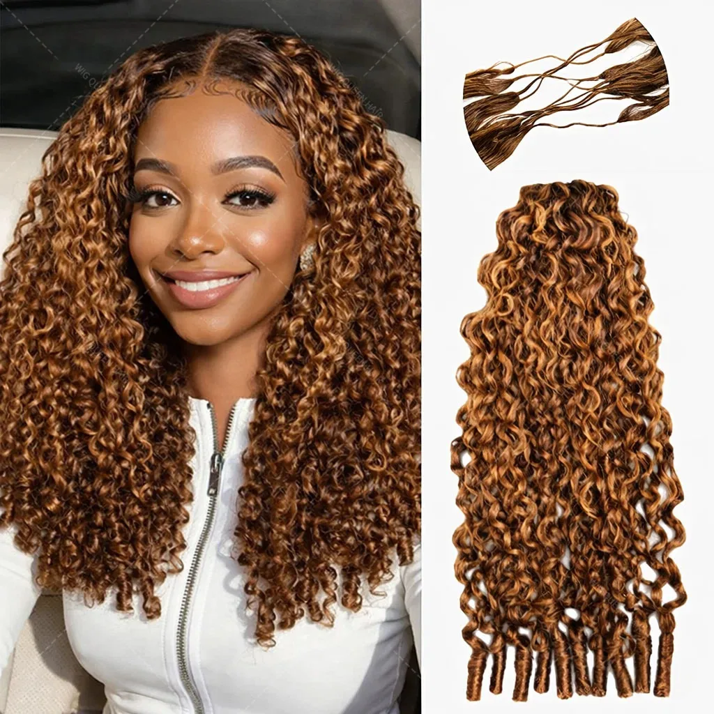 Burmese Curly Highl…