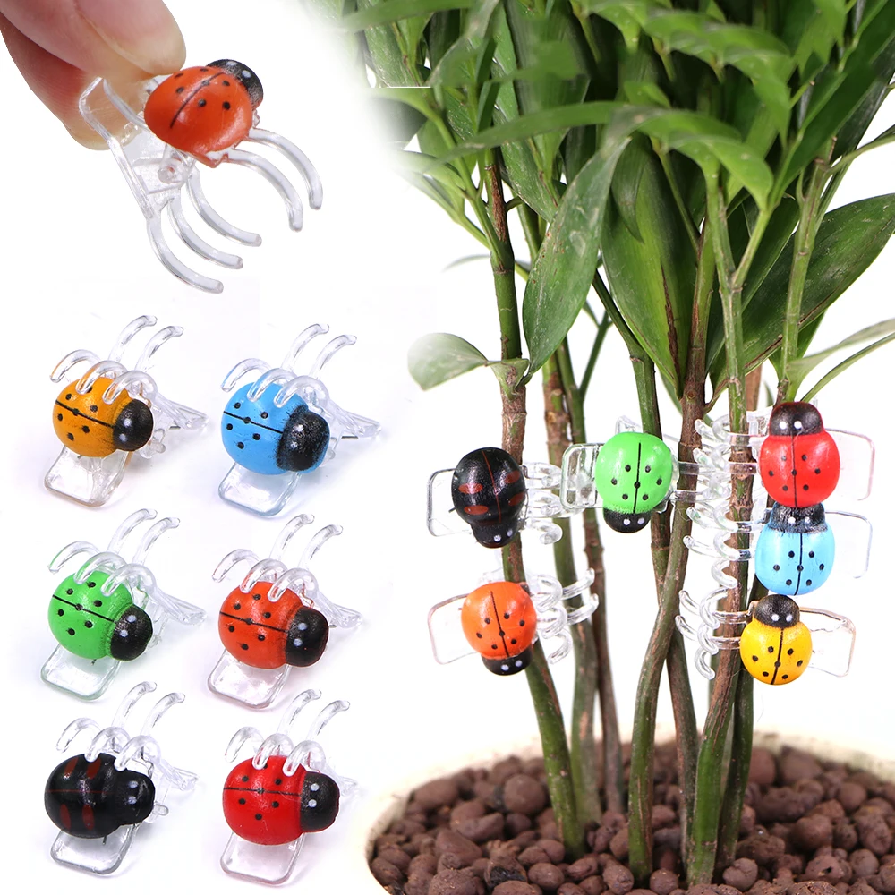 

20/50/100pcs 5-Claw Ladybird Plant Orchid Clips Colorful Flower Fixing Support Clamp Climbing Vine Stem Clasp Tied Bundle Branch