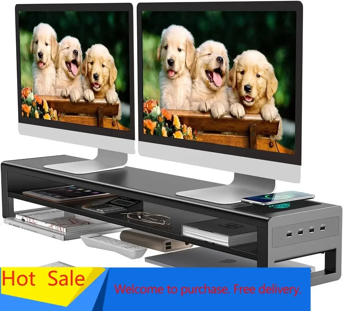 2 Tiers Dual Monitor Stand with Auto Charging Pad, 4 USB 3.0 Hub Ports, Double Monitor Riser, Metal Desk Stand with Storage, Lon
