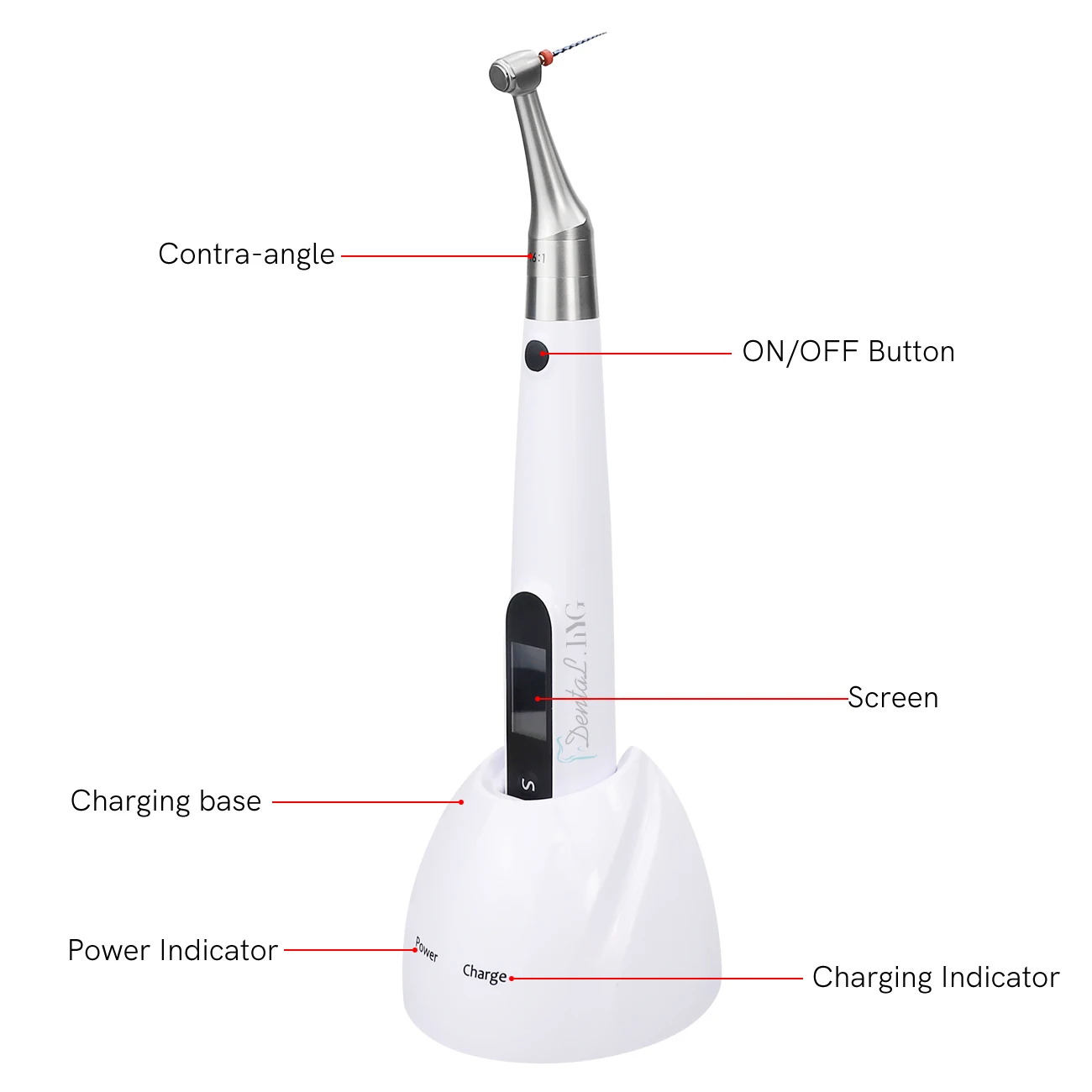 Endo Motor With Apex Locator Dental Equipments High Accuracy Apex Locator 16:1 Standard Contra Angle