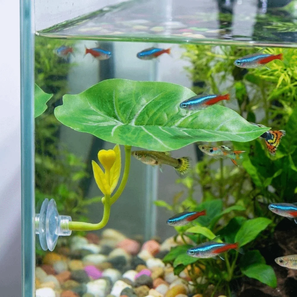Simulated Lotus Leaves Fighting Fish Resting Leaves with Suction Cup Artificial Betta Fish Floating Bed Plastic Fake Plant