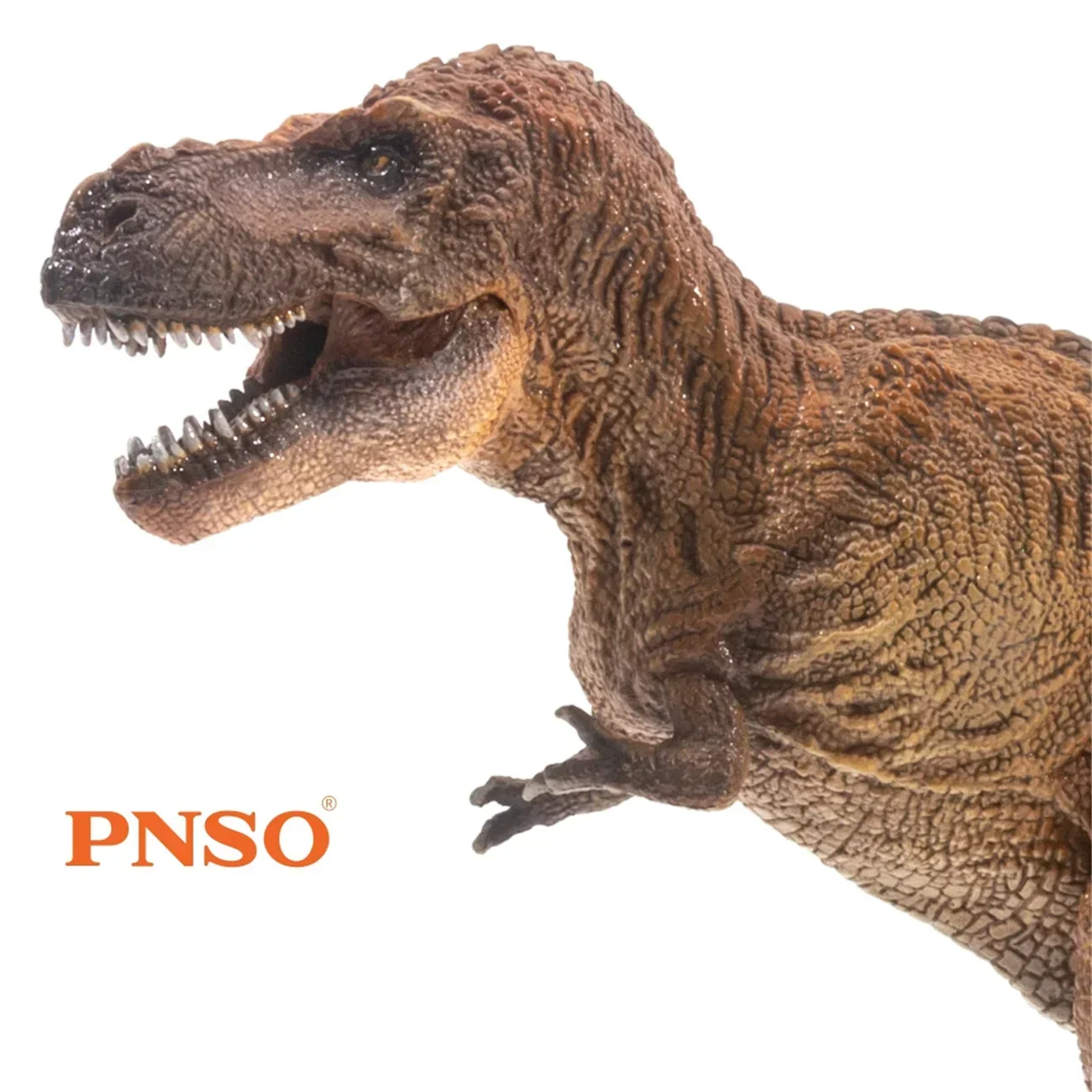 PNSO-figura de Tiranosaurio Rex Wilson para adulto, modelo de dinosaurio tiranosauridae Jurásico t-rex, regalo de colección de animales