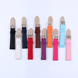 10PCS watchband in 1 bag 10 Colors Purple Red Black White Pink Brown Coffee Royal Blue Rose Red watch band wholesale