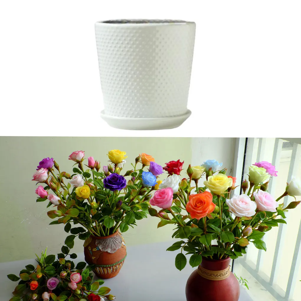 

Easy To Maintain Flower Pots For Garden And Home Stylish And Durable Gardens Beauty Ceramic Planters