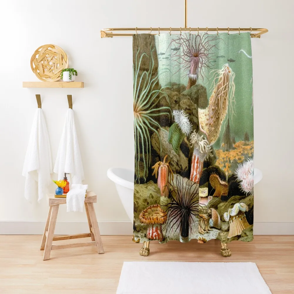 

МОРЫ АНИМЕНАЫ, МОРСКОЕ ЖИЗНЬ SCENE ACTINIARIA Занавеска для душа Окно Душ Водонепроницаемый набор для ванной комнаты Для ванной комнаты Занавеска