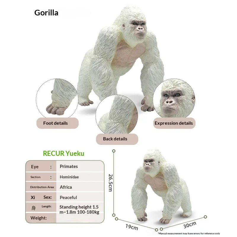 현실적인 대형 원숭이 화이트 백 고릴라 장난감 모델 야생 동물 시뮬레이션 소년과 소녀를위한 선물 소장품 액션 피규어