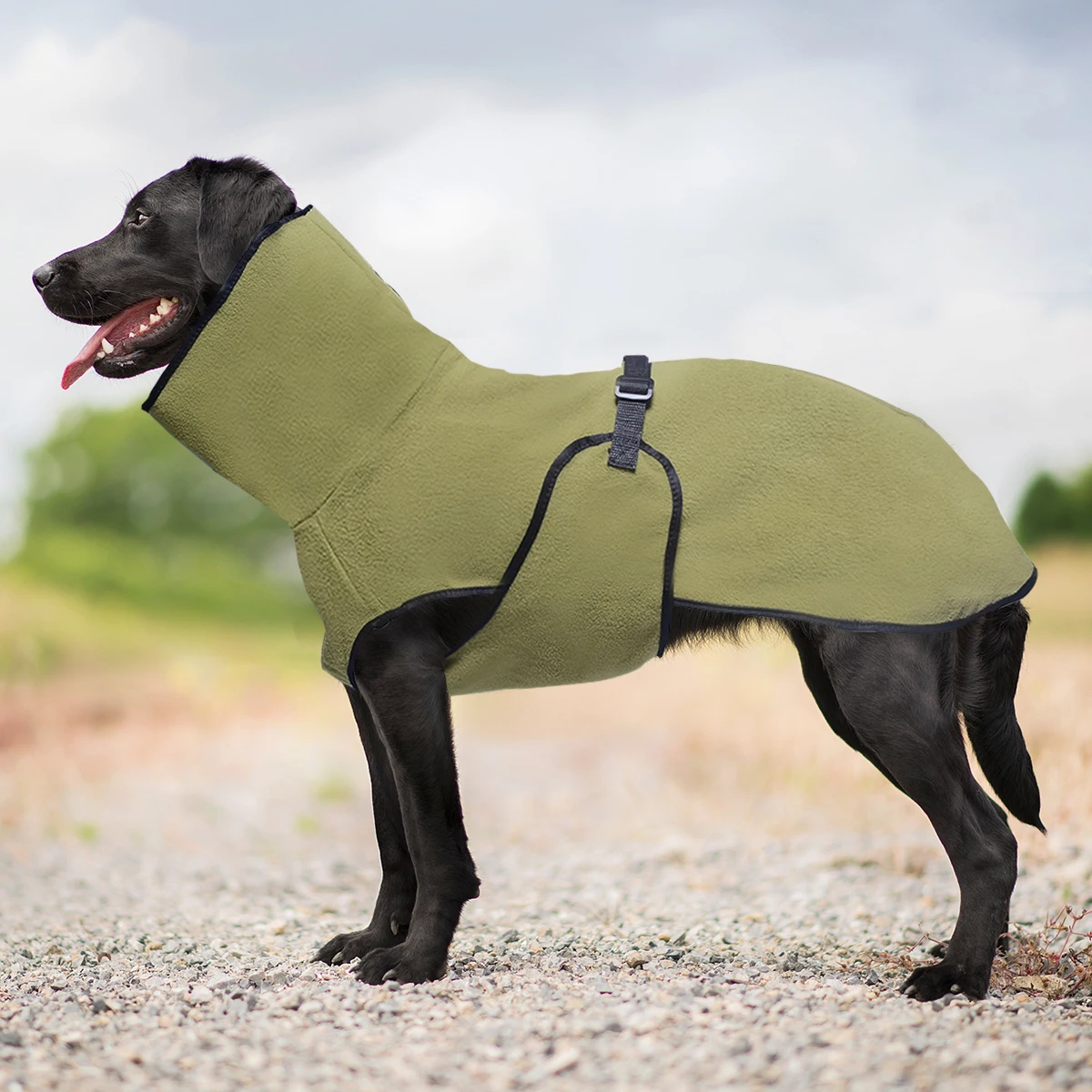 Thumbnail 3 - #23 Latest Puppy Coats Offers