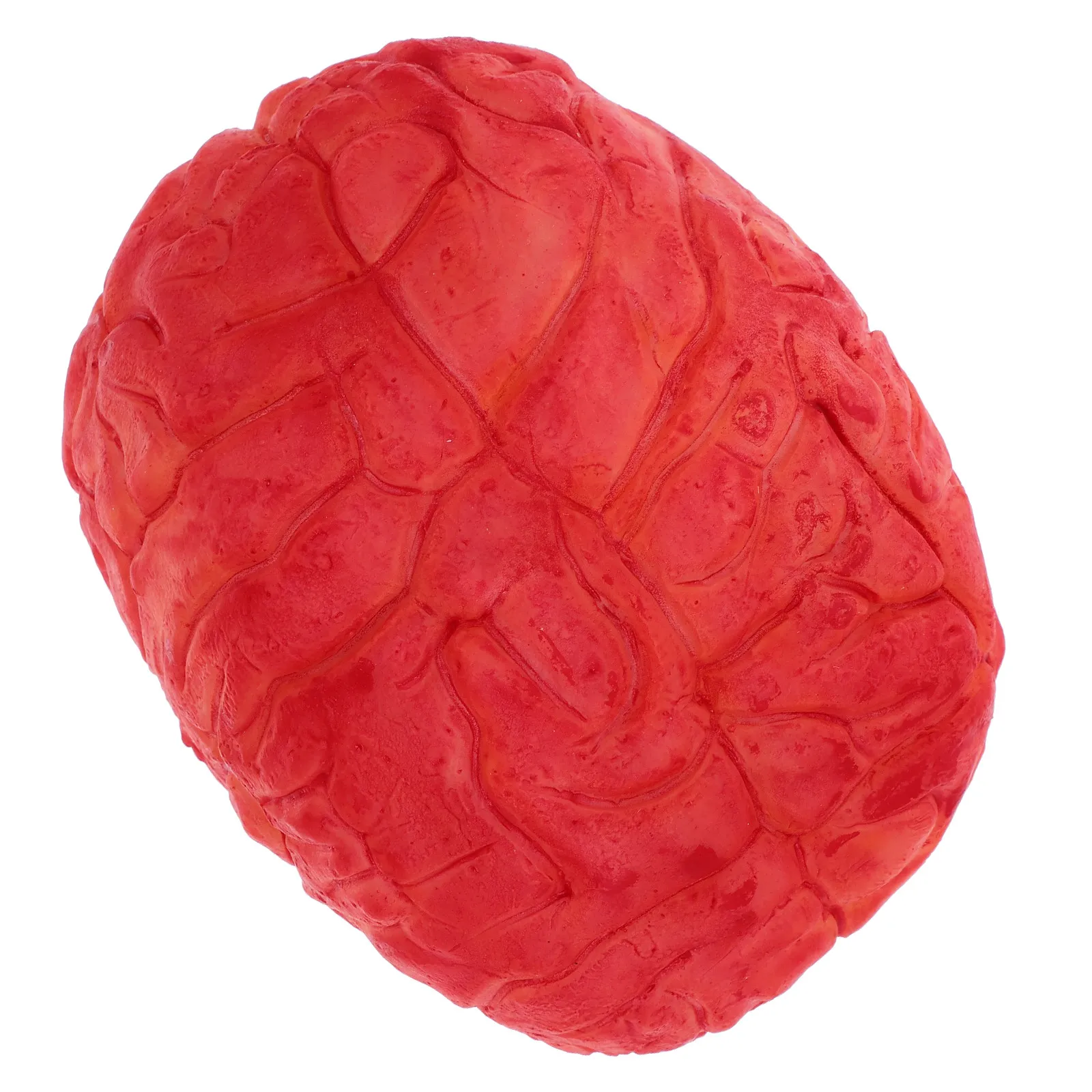 

1Pcs Life Size Bloody Fake Human Brain Halloween Prop Scary Realistic Organ Halloween Party Horror Decoration and Trick Prank