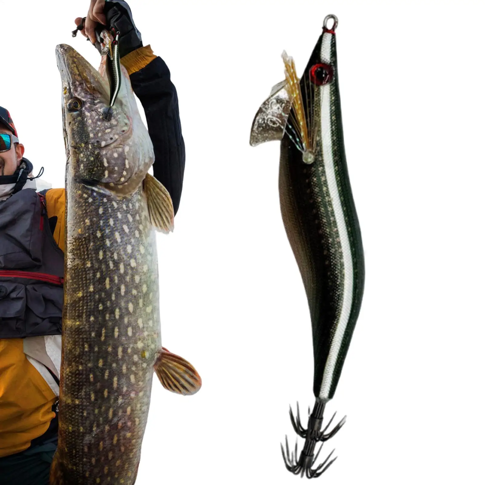 yZ[zO[lHCJA[CؐGrA[uނaAȒW̗UC