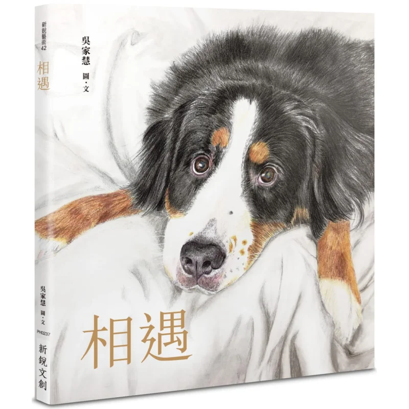 

Meet Wu Jiahui Emerging Cultural And Creative Products 9789865540210 Book