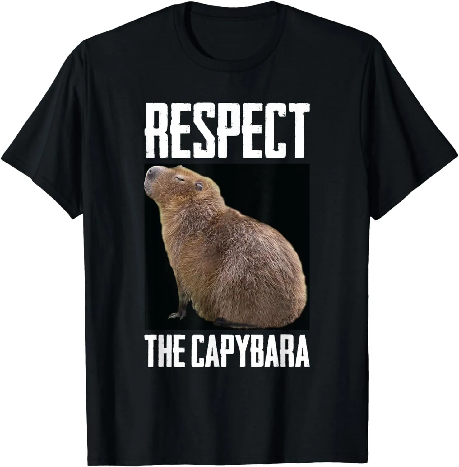 Respect The Capybara Funny Rodent Capibara Photo Gift Unisex T-Shirt