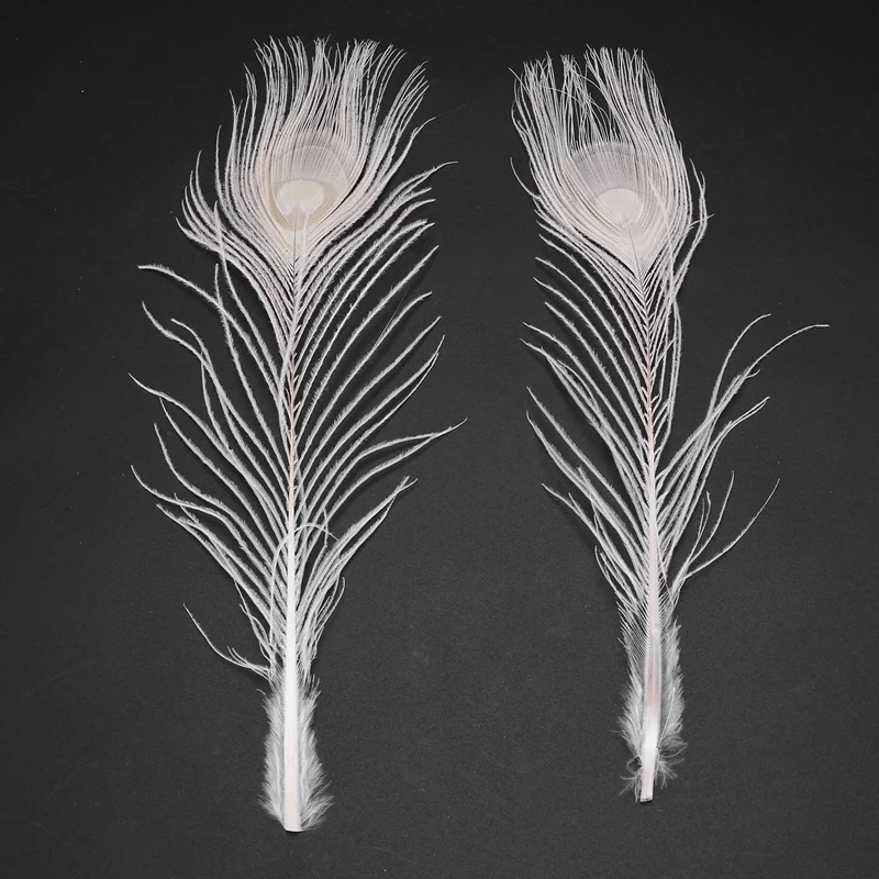 100 PCS/Natural White Peacock Feathers in the Eye, 10 to 12 Inches of the Peacock Feather Wedding Decoration