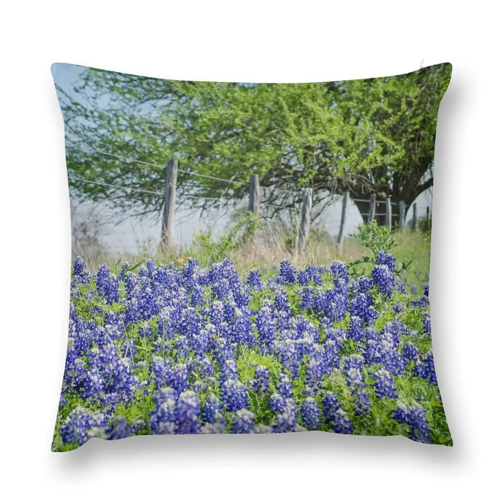 Texas Blue Bonnets Throw Pillow Decorative Sofa Cushions christmas decorations for home 2025 Sofa Cushion Cover pillow