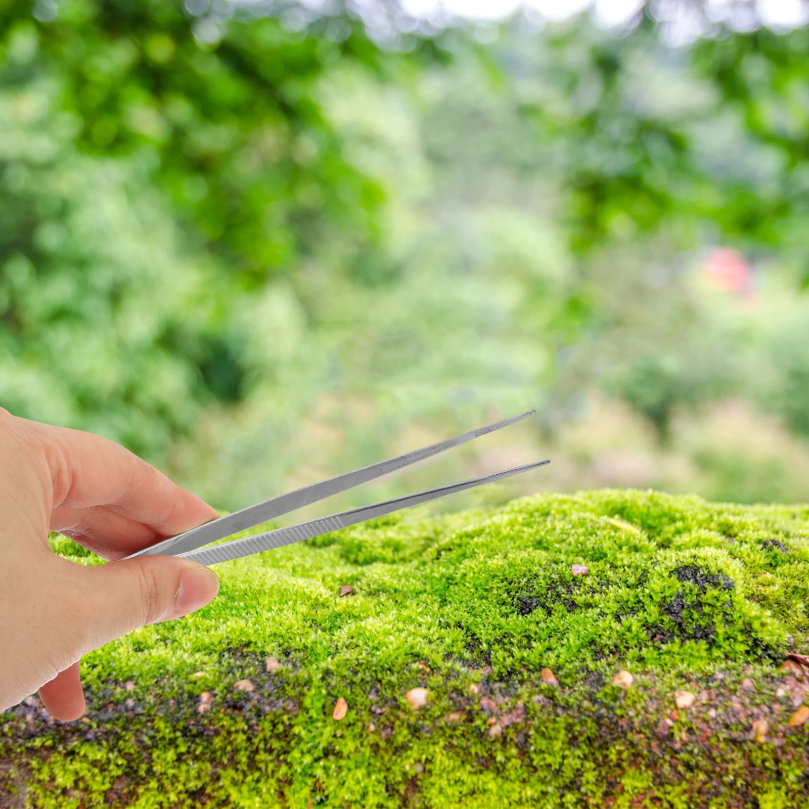 Pinzas para bonsái, herramienta, Kit de manualidades, herramientas de cuidado, poda, aseo, jardinería, punta fina