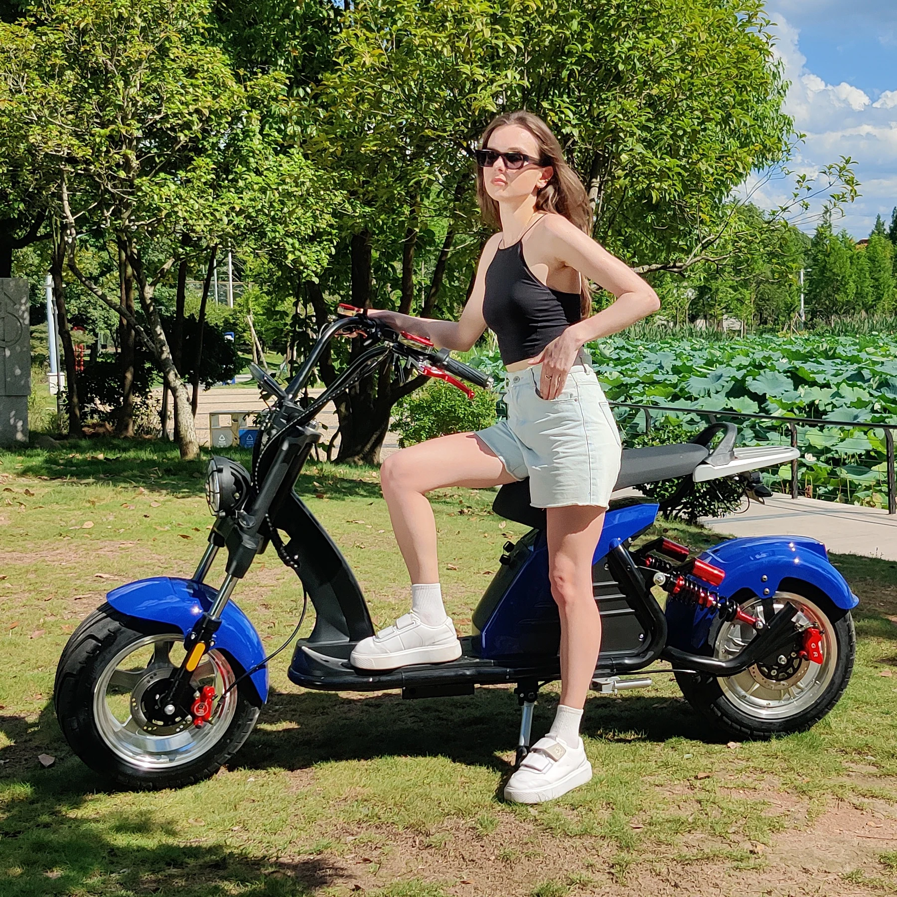 Fat Tire Electric S… - image