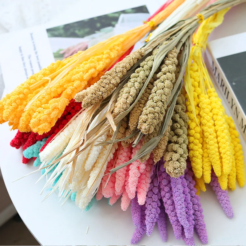 Dried Flower Millet Spike Bouquet Real Natural Plant Mariage Boheme Decorative Home Decor Wedding Centerpieces For Tables