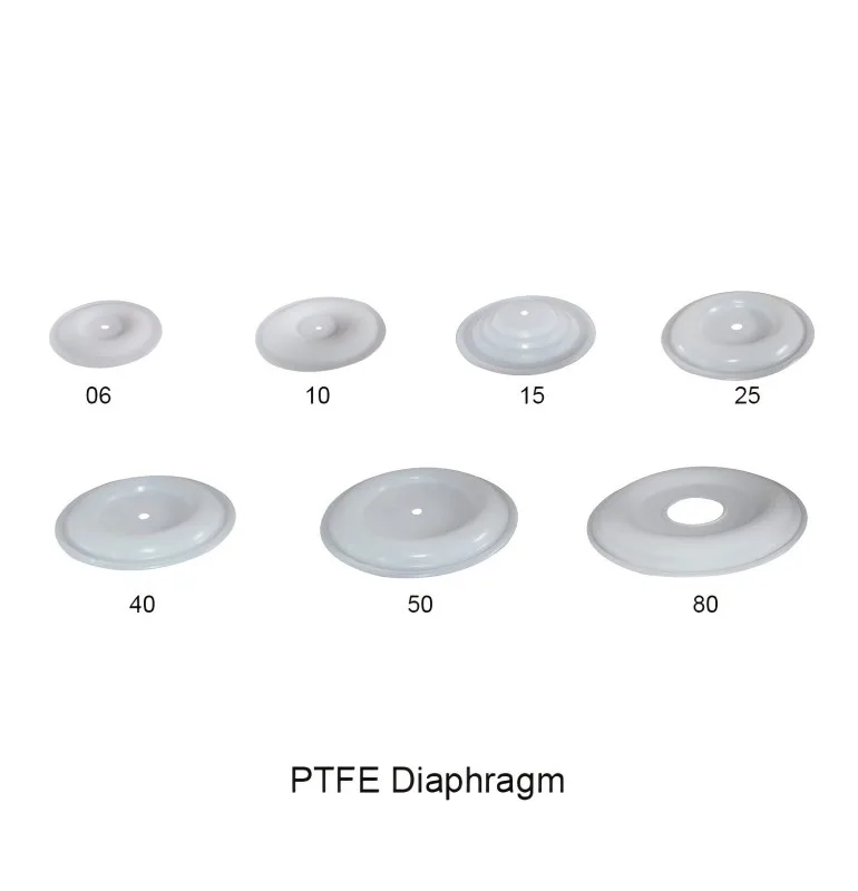 Wholesale Supplier PTFE Diaphragm Replacement Membrane Spare Parts for 2