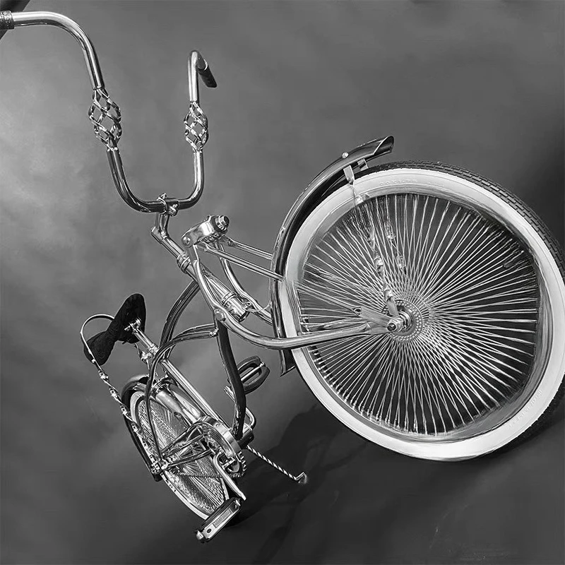 

Low rider bike, bicycle load bike folding car