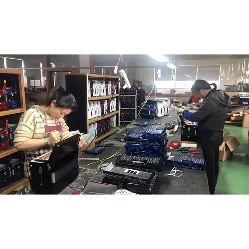 SEASOUND Professional 12 Bass 5 Registers Accordion with 34 Buttons Silver Grill JB3412D Bright White Diatonic Concert Acordeon