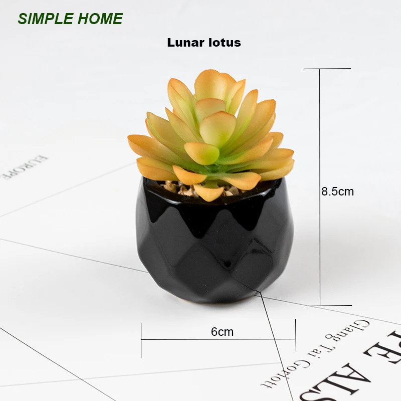 Künstliche saftige Bonsai-Pflanzen mit Keramiktopf für Raumdekoration, Bürotisch, Hausgarten-Dekoration – Detail 7