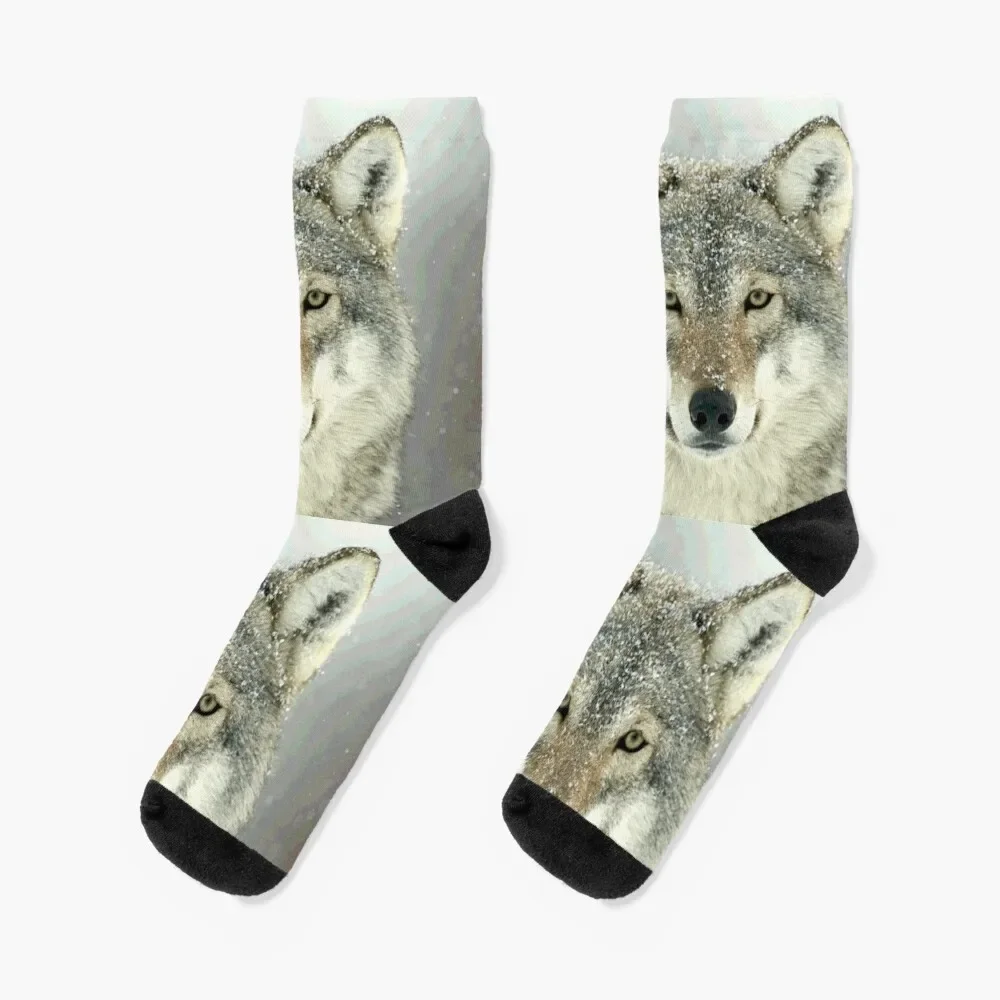 

GREY WOLF Socks funny sock hip hop Socks Female Men's