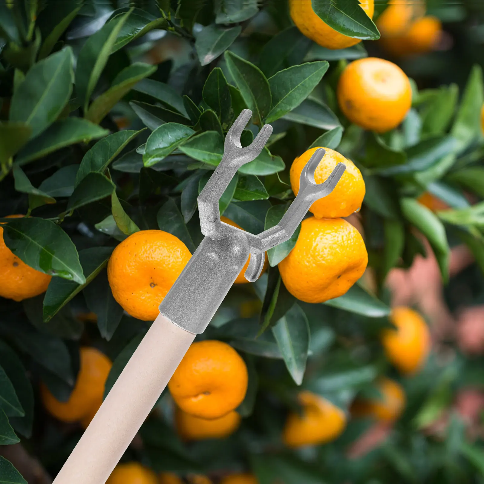 

6pcs Metal Tree Branch Support Sturdy Plant Stake Kit for Gardening Fruits Vegetables Universal Use Durable Straightening