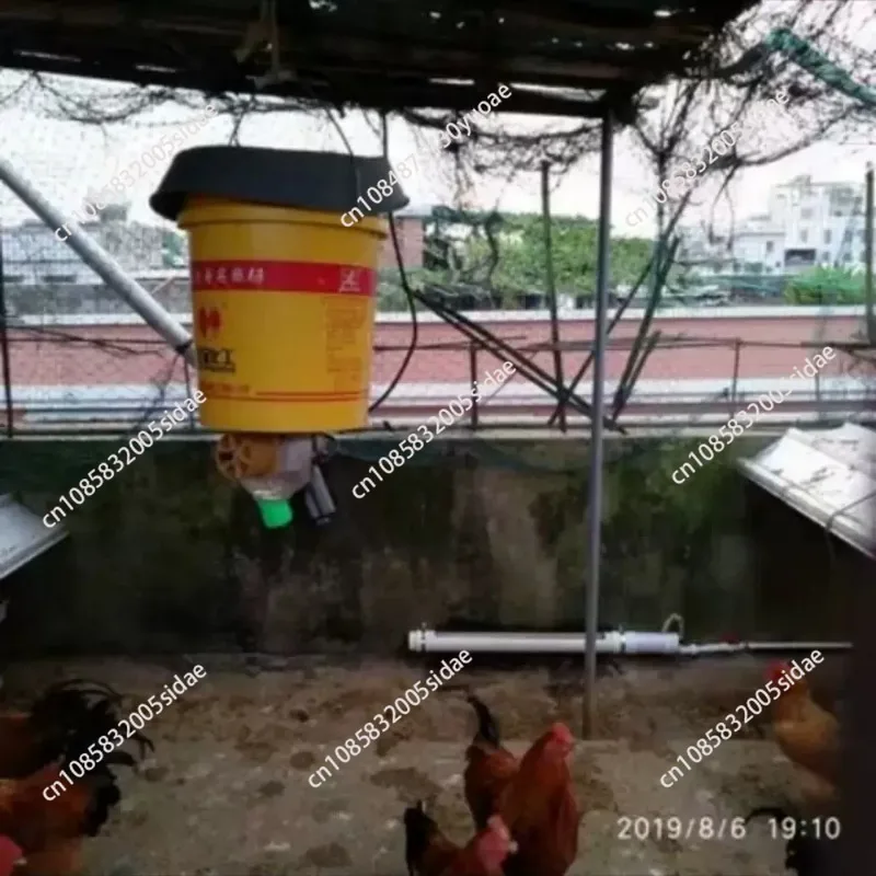 Pet Feeder Chicken Feeder Pigeon Automatic Timed Feeding Twelve Volt DC Discharging Machine Chicken Remote