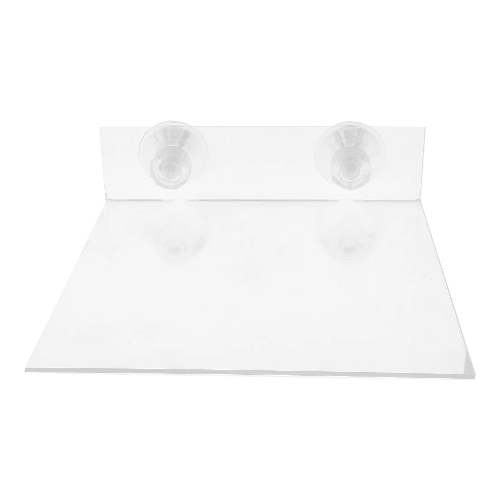 Parrot Platform Suction Cup Stable Perch Stand Shower Window Wall Mounted Bird Perch Cockatoo Macaw Parakeet Flat Shelf