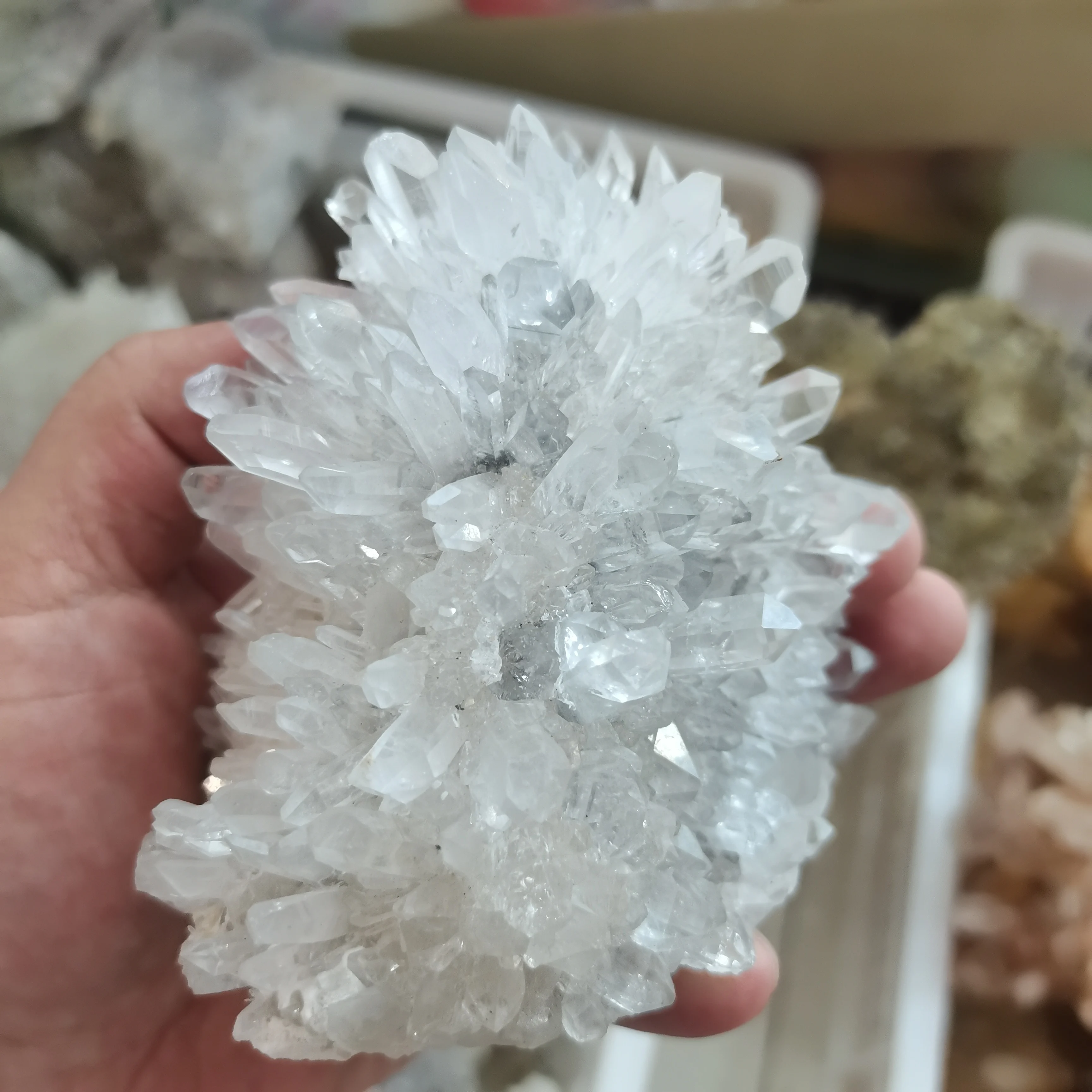 

1.5kg Natural Crystal Chrysanthemum Stone Crystal Cluster Specimen Home Room Decor Feng Shui Ornaments Teaching and Scientific