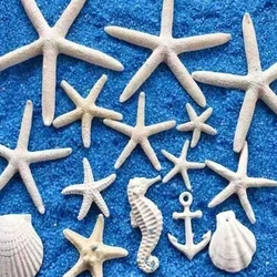 5pcs/set Aquarium Starfish, Seahorses, Shells, Starfish, Spotted Starfish,And Spear Decorations, Designed For Aquarium Decoratio