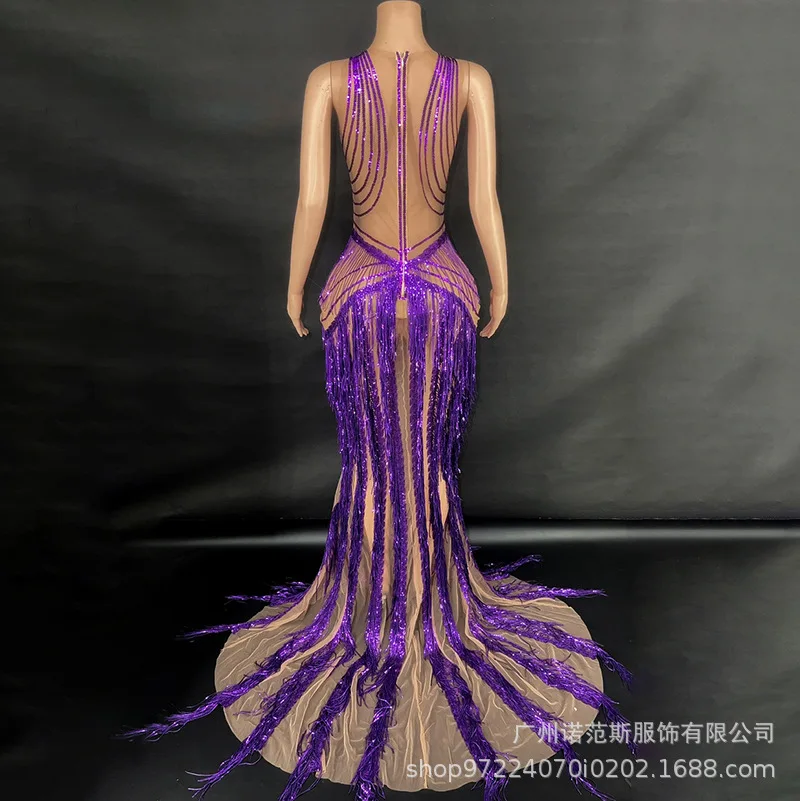 فستان مثير بشراشيب أرجواني لزائدة في يوم رأس السنة الجديدة ملابس أداء المضيف للكبار نموذج المنصة ملابس عصرية تظهر الأزياء #4