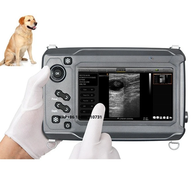 S6 Portable Veterinary Ultrasound Scanner, Handheld B-Mode Equipment CE Certified, Cattle, Sheep, Pig, Dog and Cat