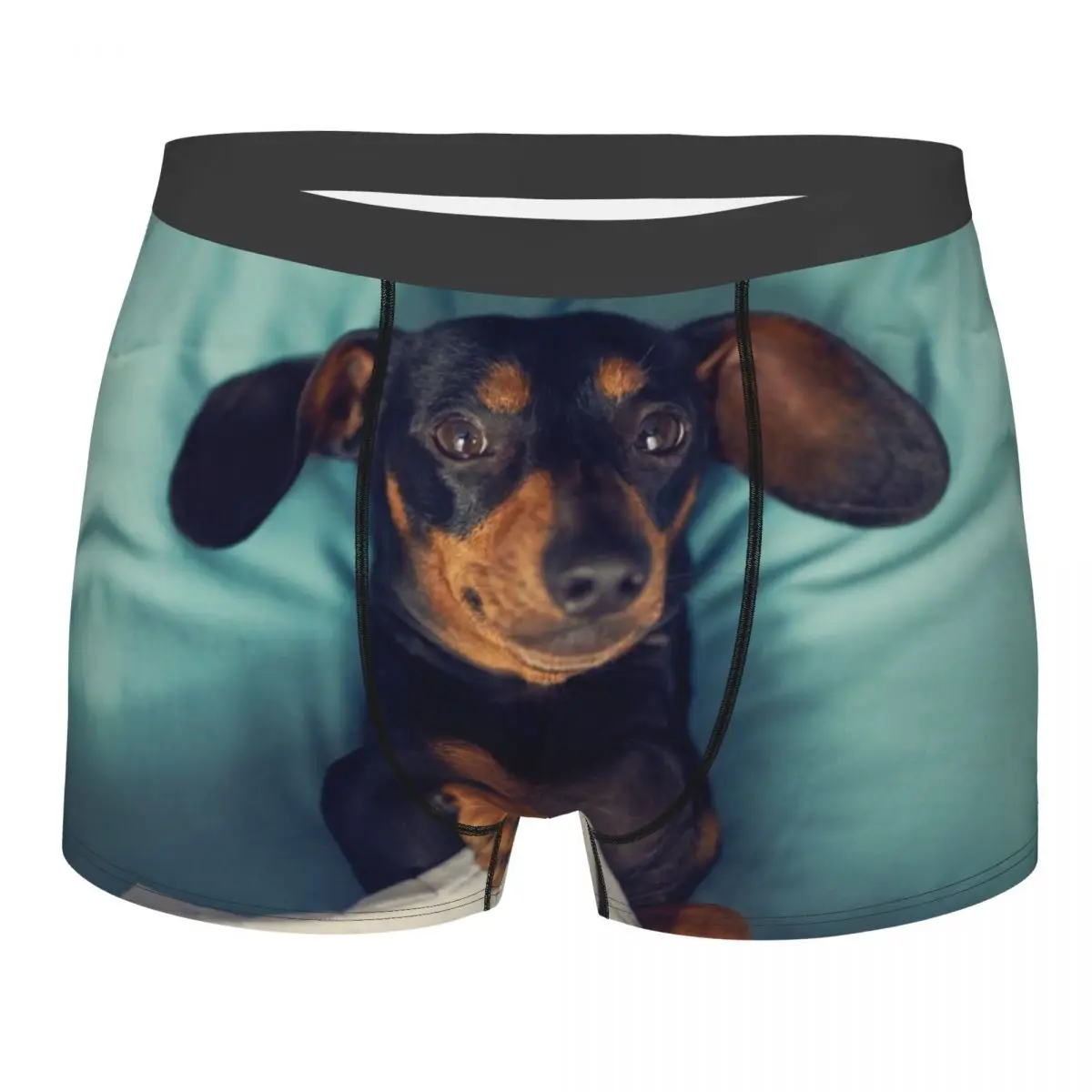 Custom Fashion Dachshund Boxers Shorts Panties Men's Underpants Stretch Badger Sausage the Wiener Dog Briefs Underwear