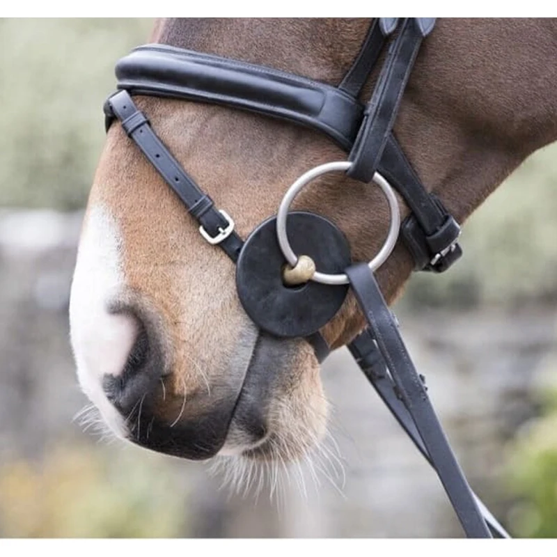 Bescherm De Paardenmond Gag Bit Zwarte En Bruine Kleur